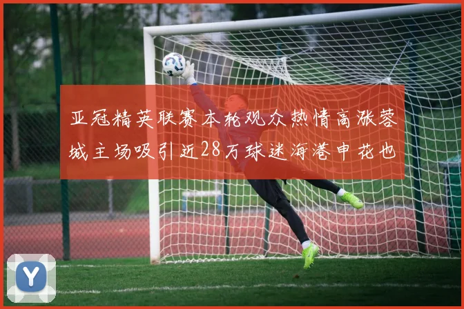 亚冠精英联赛本轮观众热情高涨蓉城主场吸引近28万球迷海港申花也超万人到场